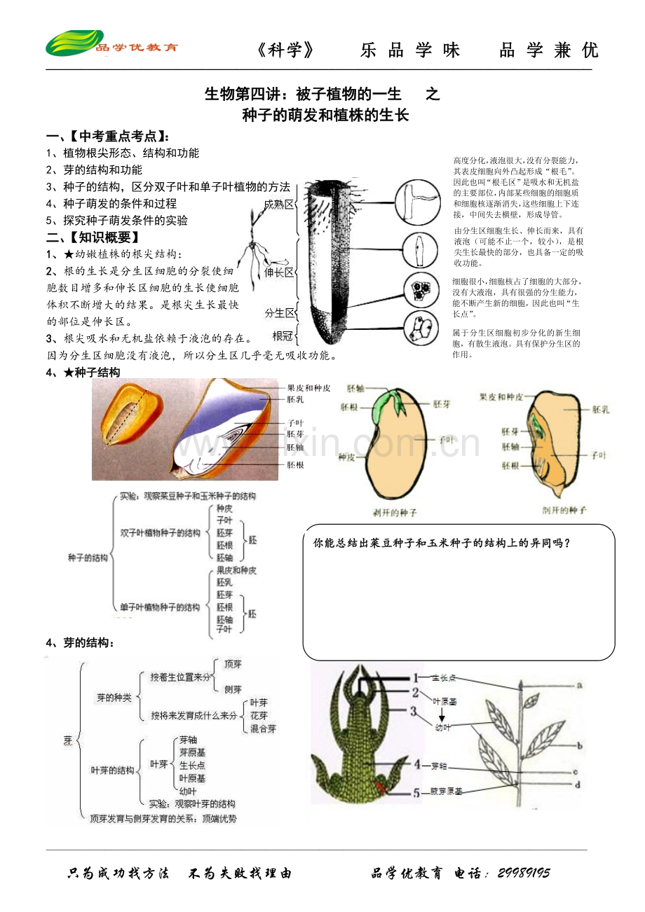 生物第四讲：被子植物一生之种子萌发及植株生长(教师版).doc_第1页