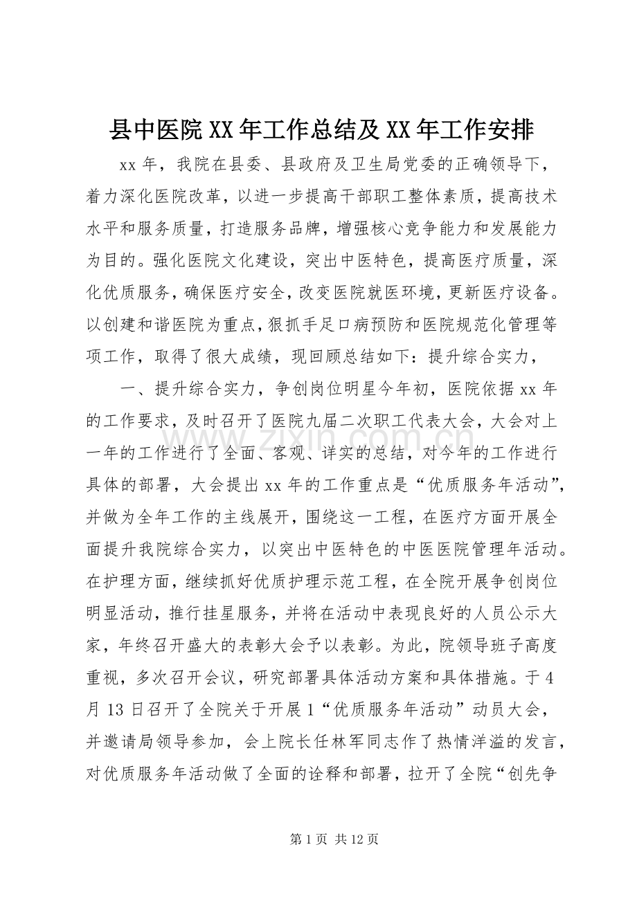 县中医院XX年工作总结及XX年工作安排_1.docx_第1页