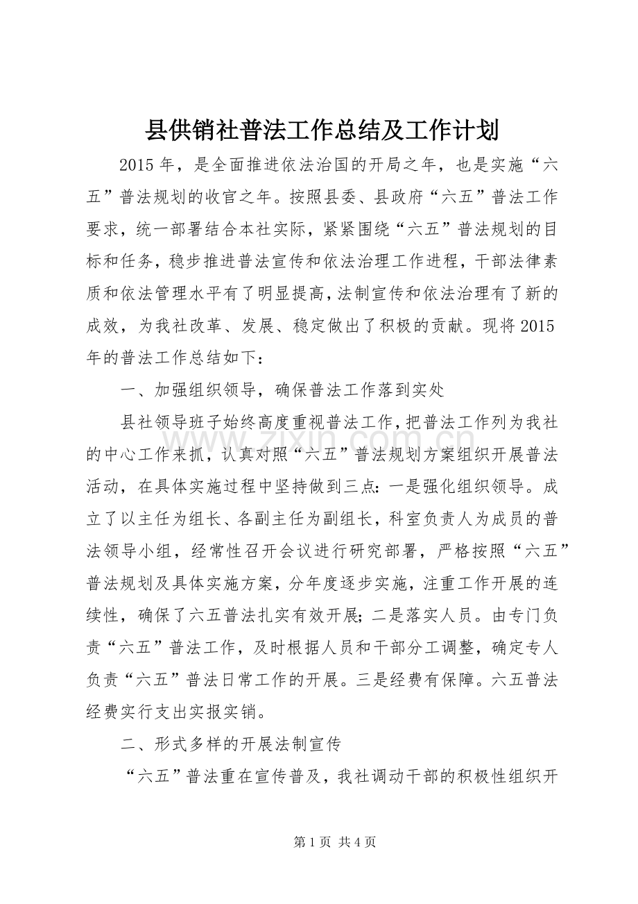 县供销社普法工作总结及工作计划.docx_第1页