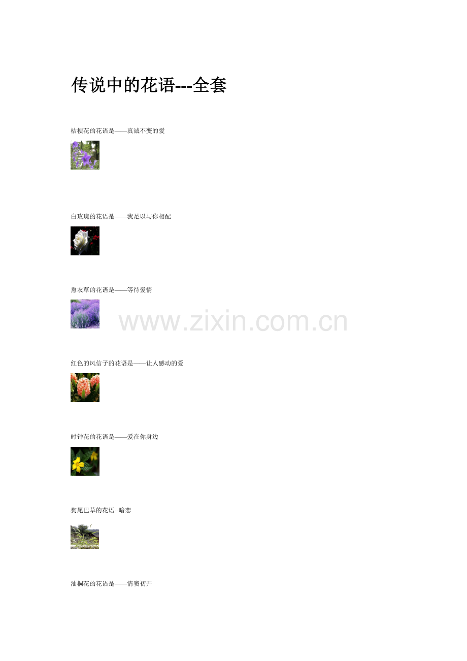 传说中的花语---全套.doc_第1页