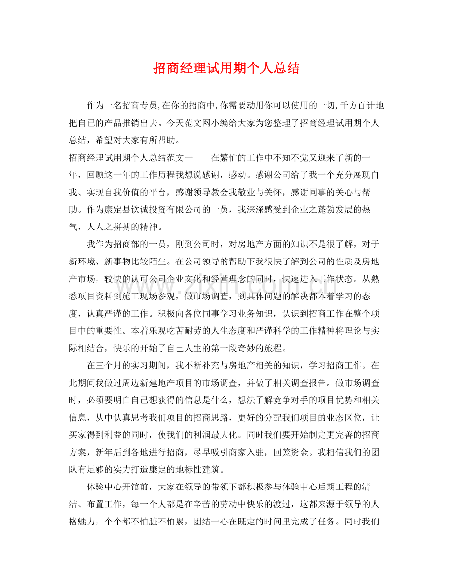 招商经理试用期个人总结 .docx_第1页