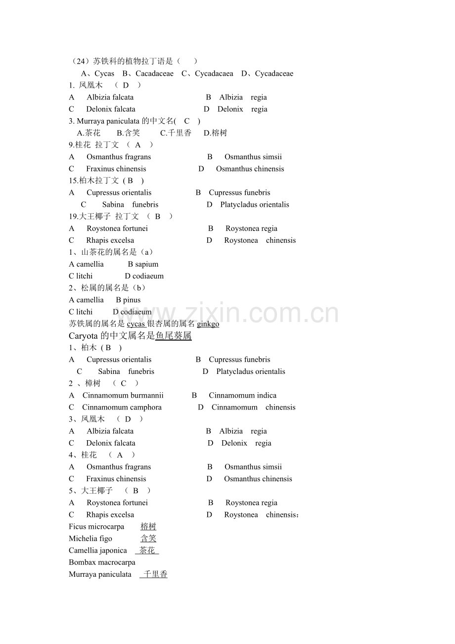 树木学拉丁名.doc_第1页
