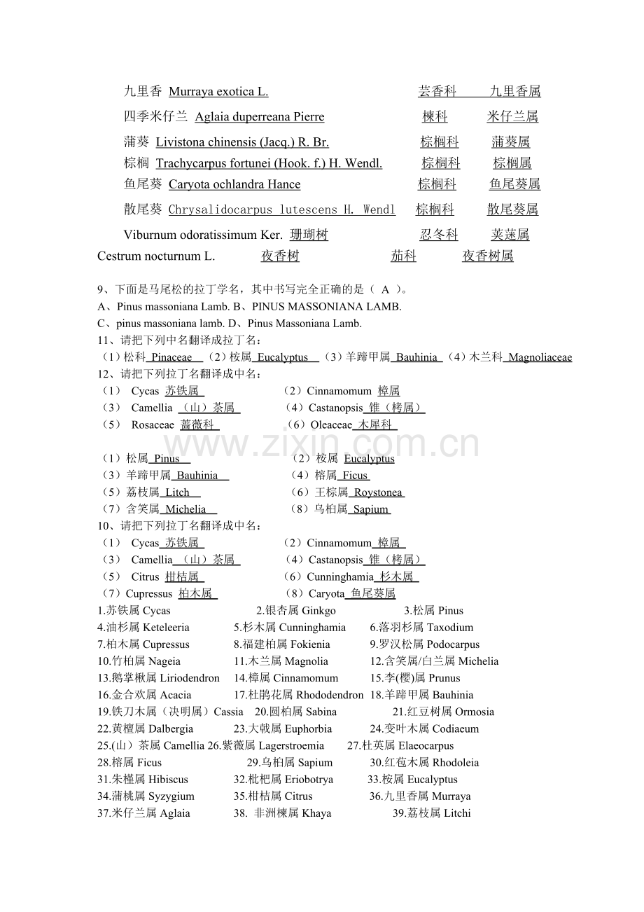 树木学拉丁名.doc_第2页