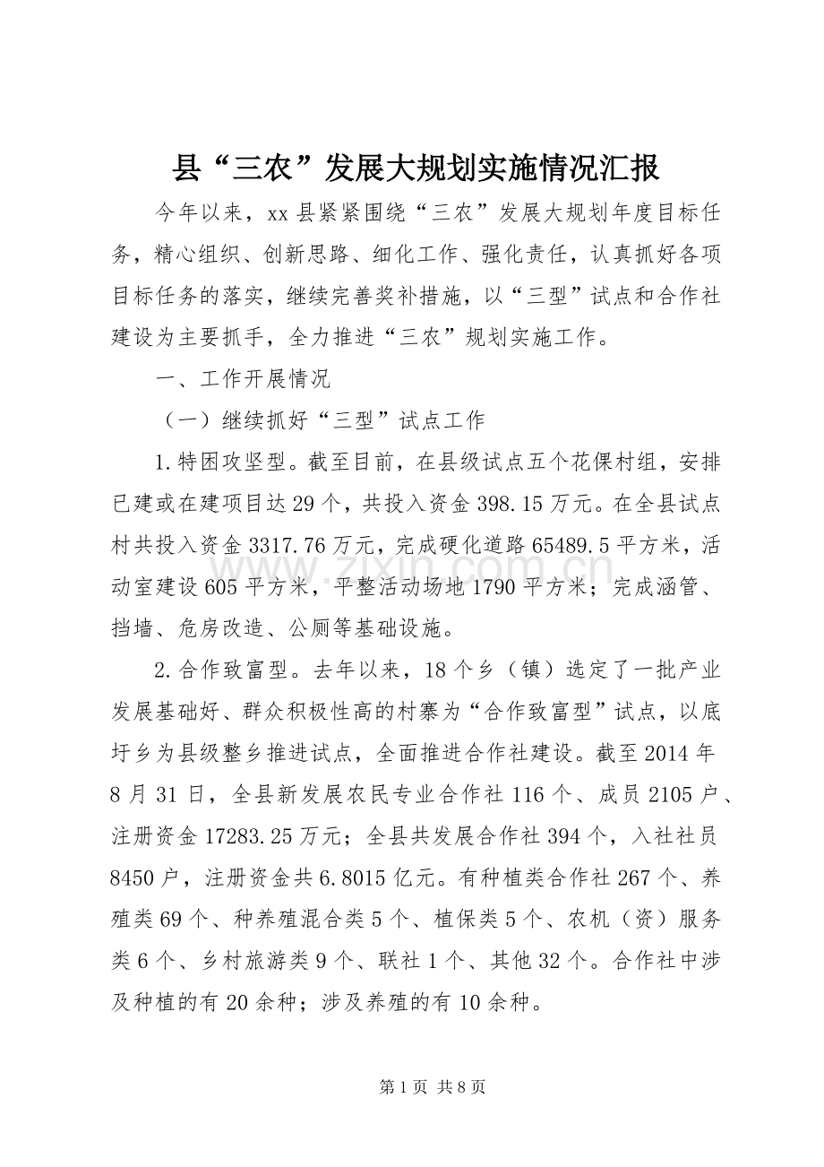 县“三农”发展大规划实施情况汇报 .docx_第1页