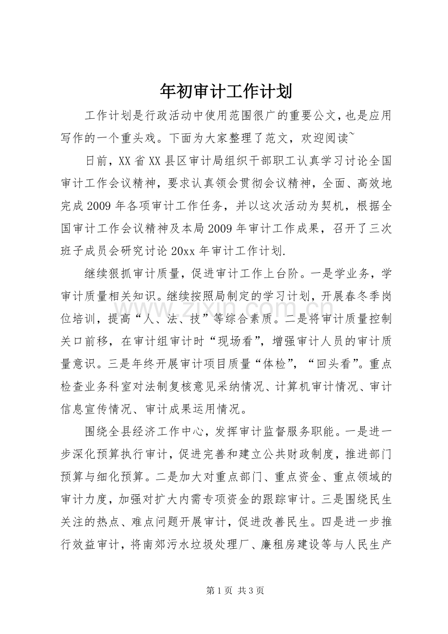 年初审计工作计划 .docx_第1页