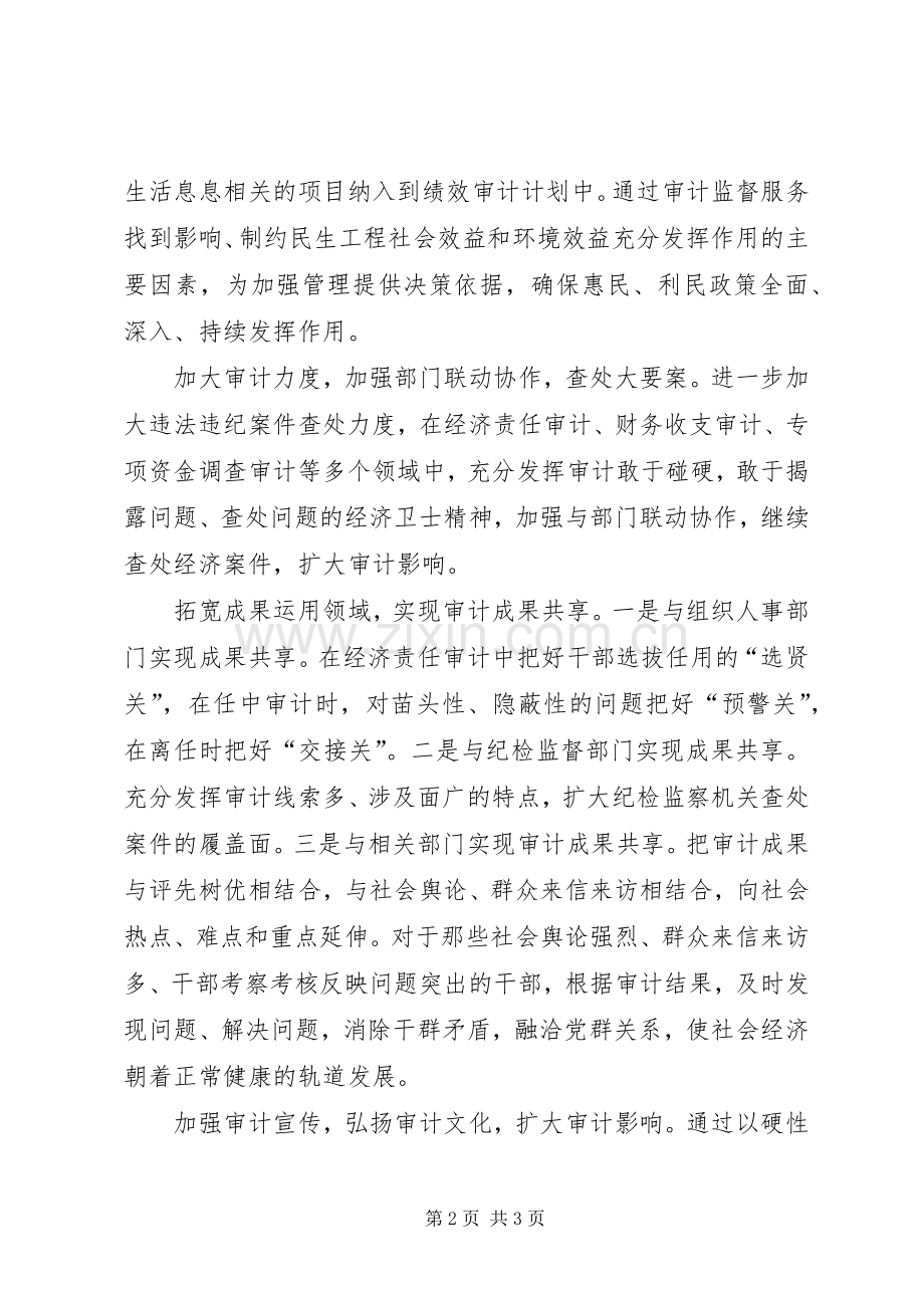 年初审计工作计划 .docx_第2页