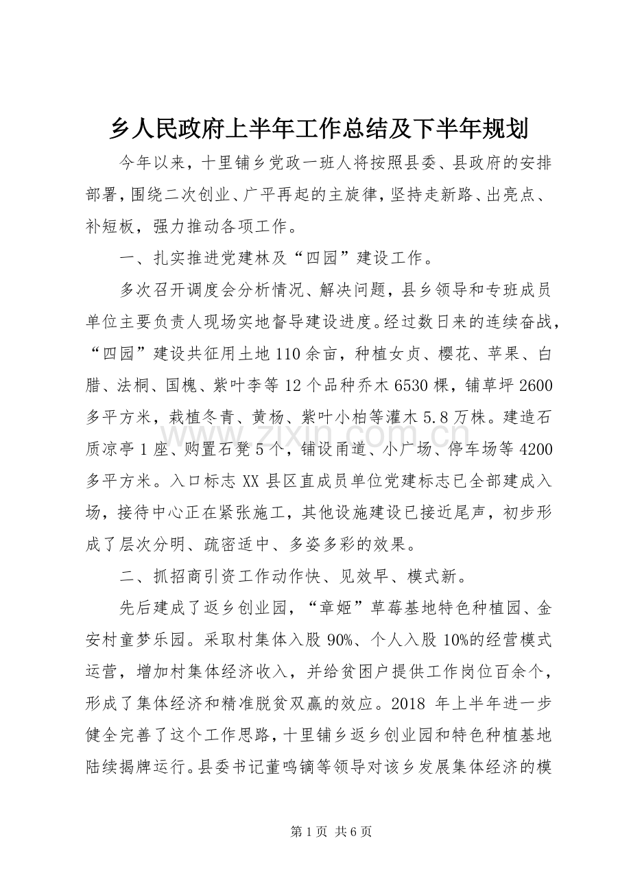 乡人民政府上半年工作总结及下半年规划.docx_第1页