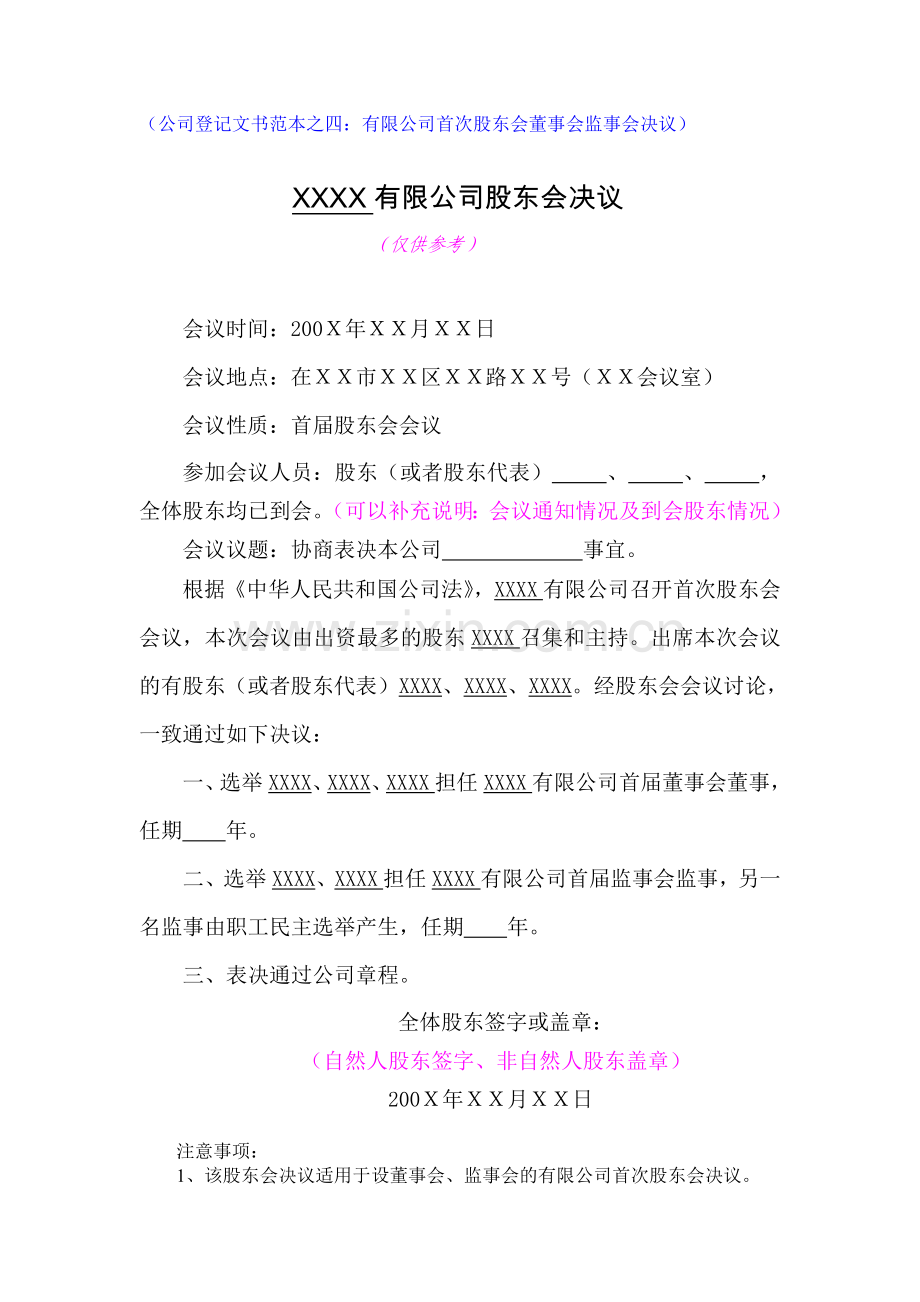 公司登记文书范本之四：有限公司首次股东.doc_第1页