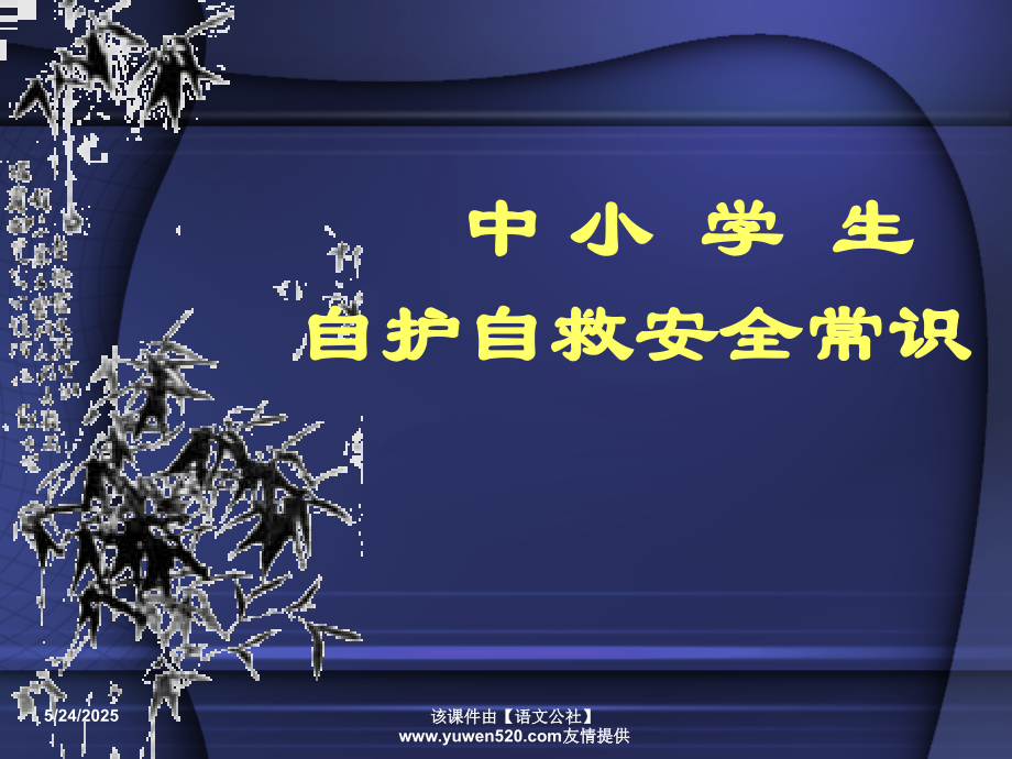 《中小学生自护自救安全常识》ppt主题班会课件.ppt_第1页