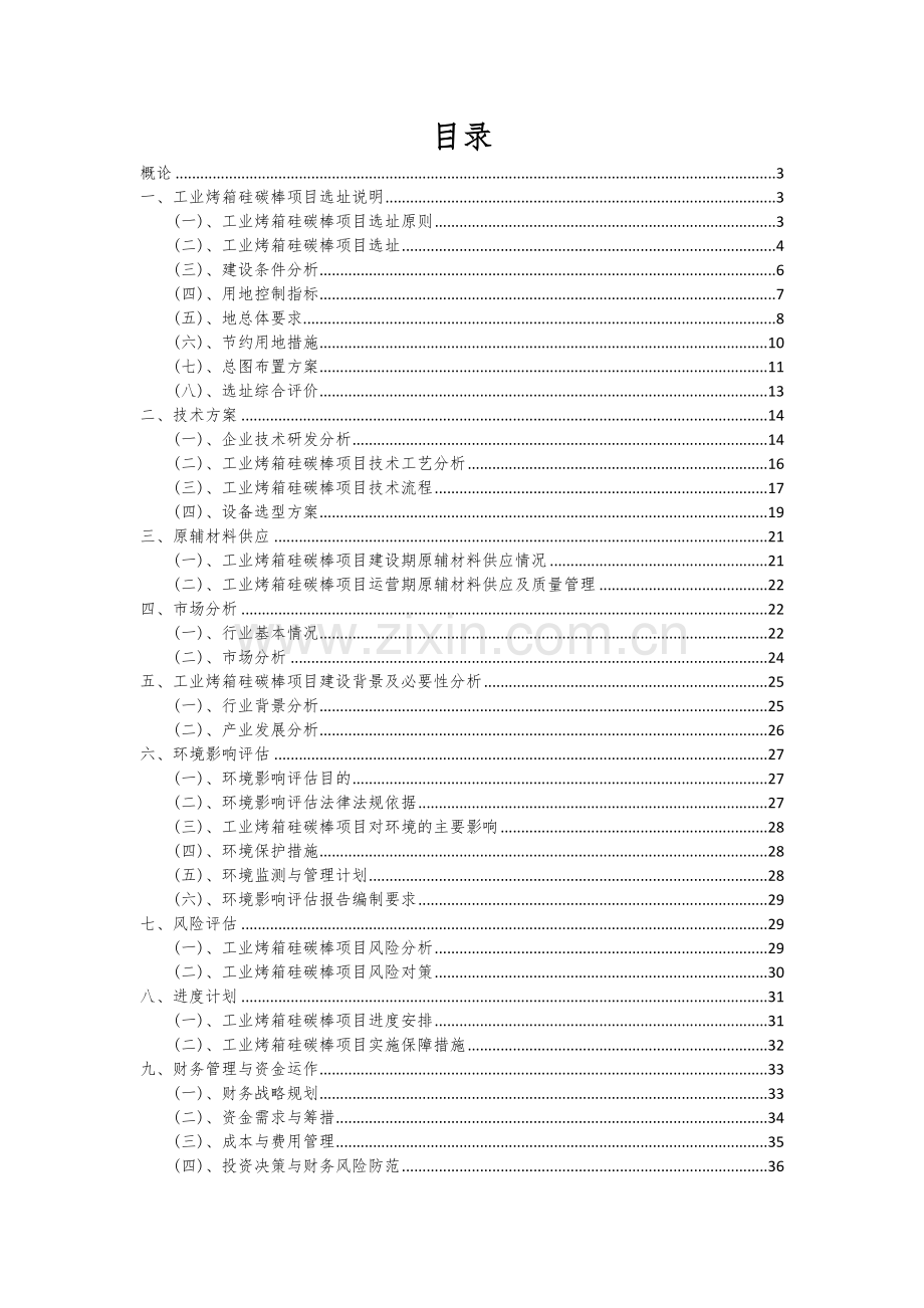 工业烤箱硅碳棒项目深度研究分析报告.docx_第2页