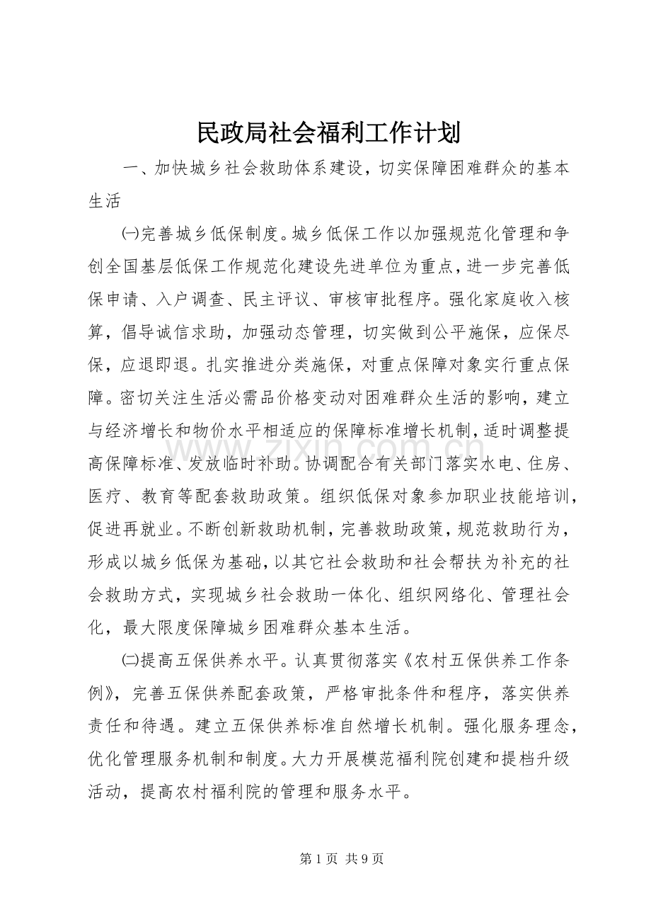民政局社会福利工作计划.docx_第1页