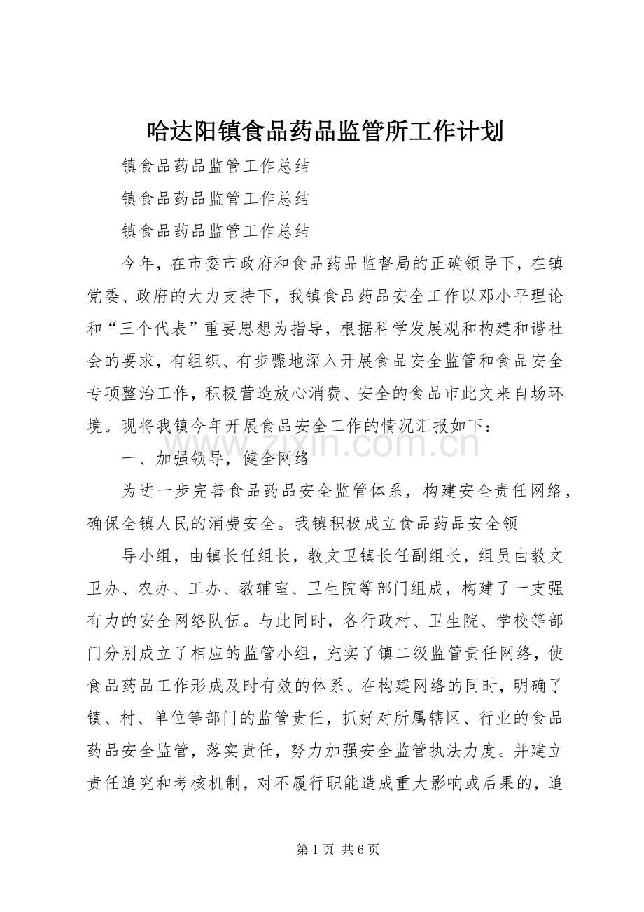 哈达阳镇食品药品监管所工作计划 .docx_第1页