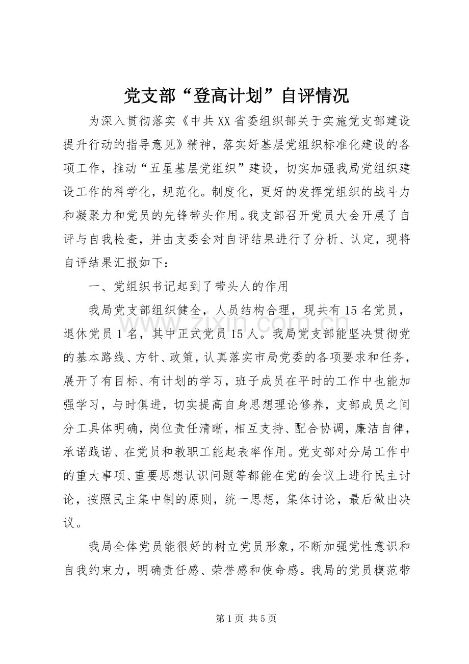 党支部“登高计划”自评情况 .docx_第1页