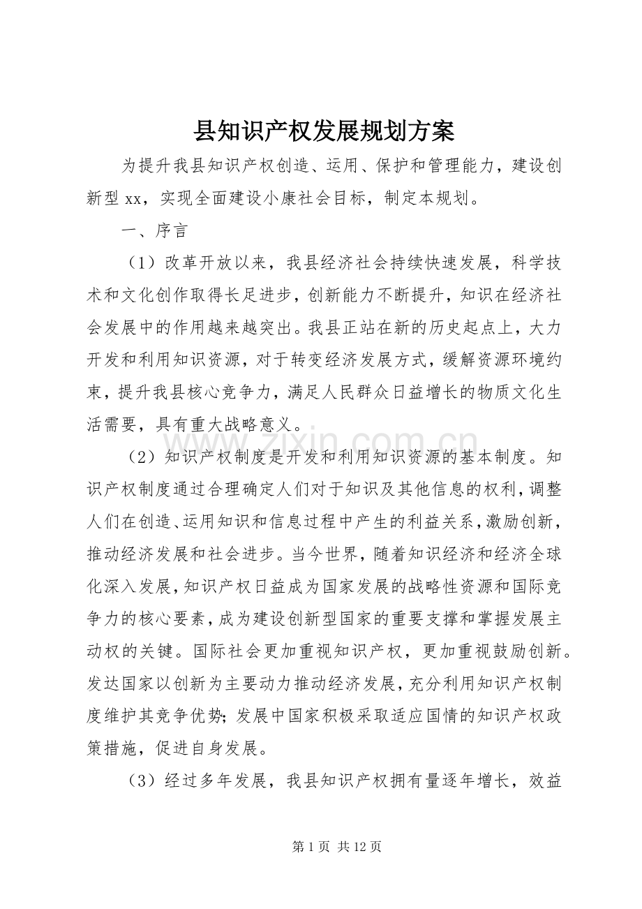 县知识产权发展规划方案.docx_第1页