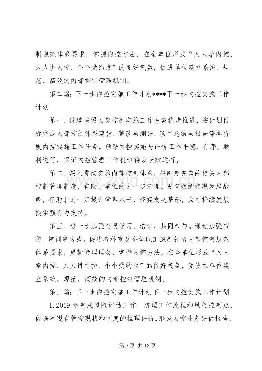内控工作下一步计划.docx_第2页