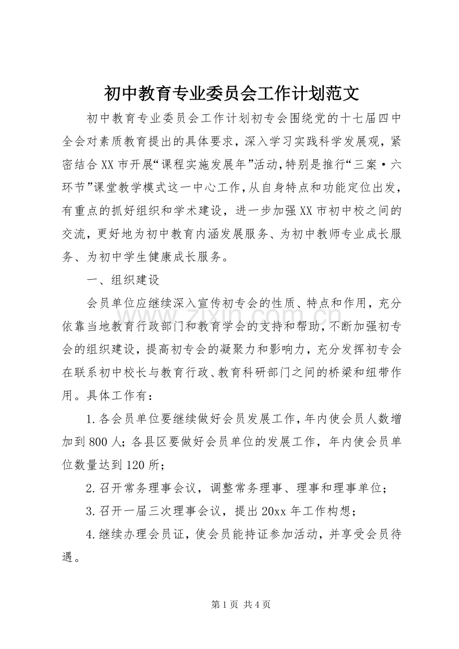 初中教育专业委员会工作计划范文.docx_第1页