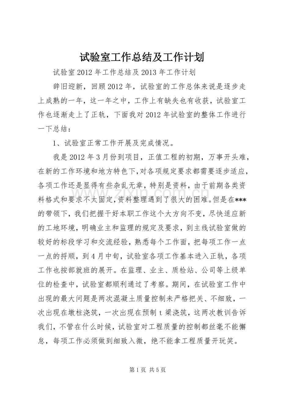 试验室工作总结及工作计划.docx_第1页