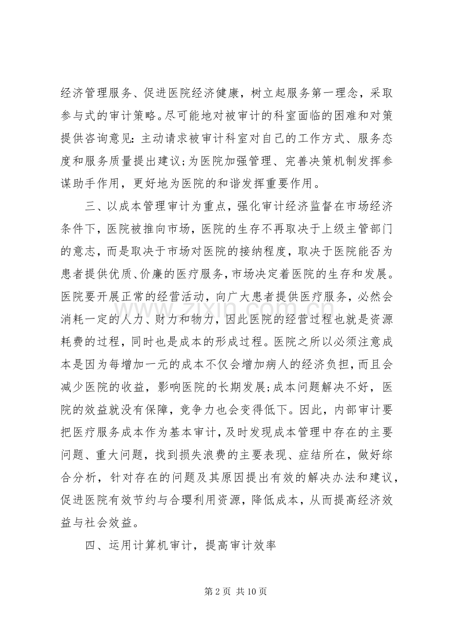 XX年审计工作计划.docx_第2页