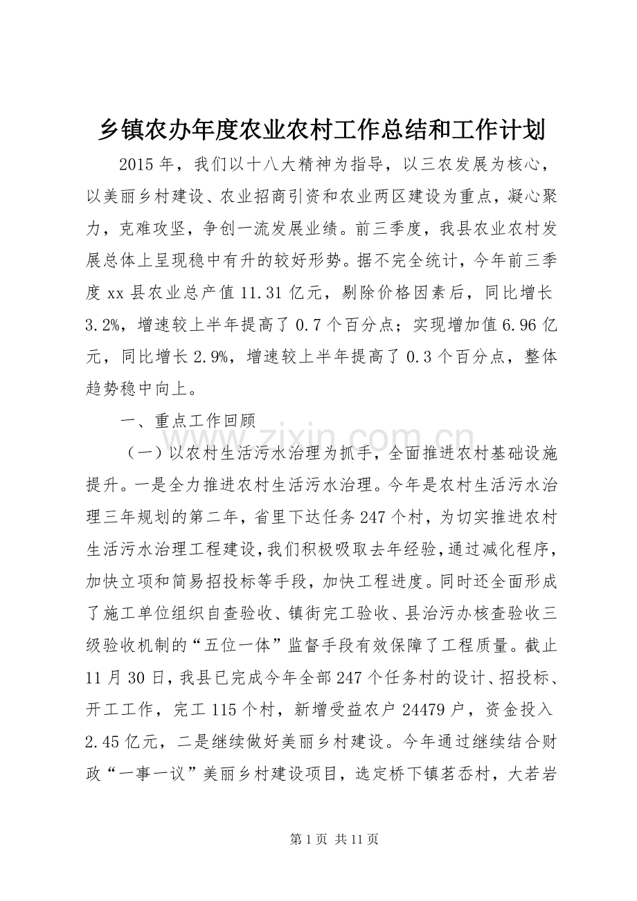 乡镇农办年度农业农村工作总结和工作计划.docx_第1页
