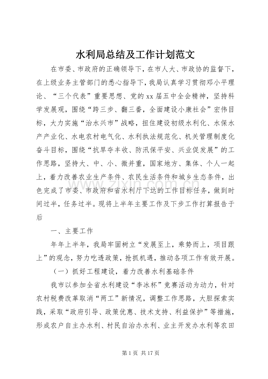水利局总结及工作计划范文.docx_第1页