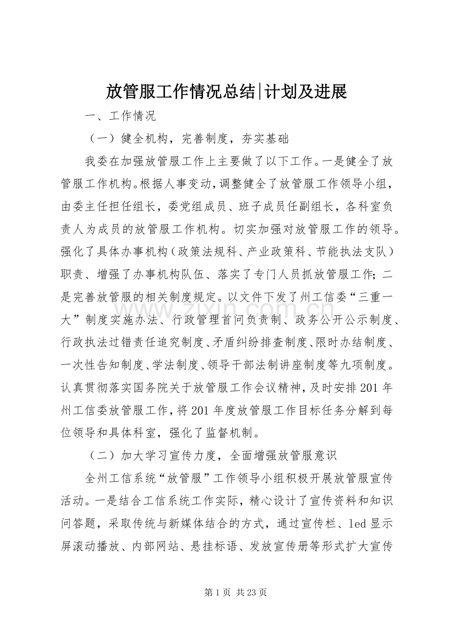 放管服工作情况总结-计划及进展 .docx_第1页