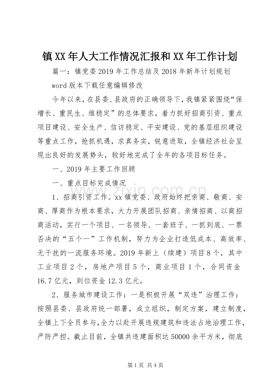 镇XX年人大工作情况汇报和XX年工作计划 .docx_第1页