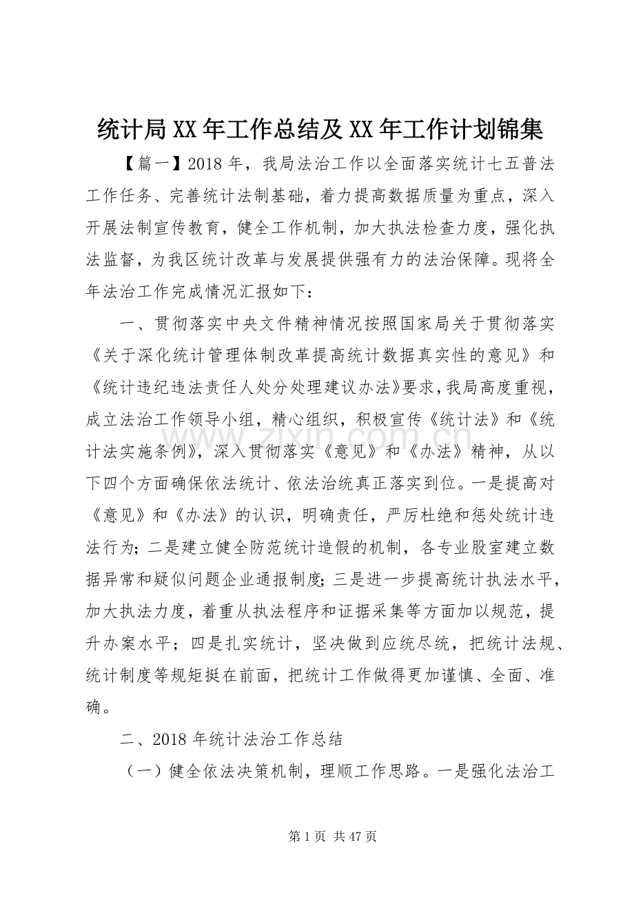 统计局XX年工作总结及XX年工作计划锦集 .docx_第1页