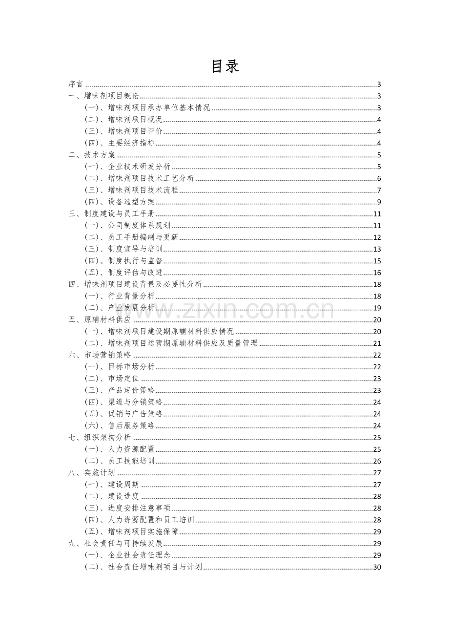 增味剂项目可行性研究报告.docx_第2页