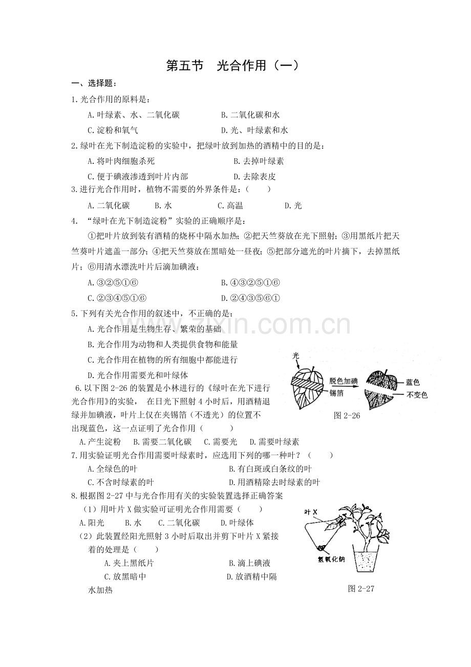 第五节光合作用1.doc_第1页