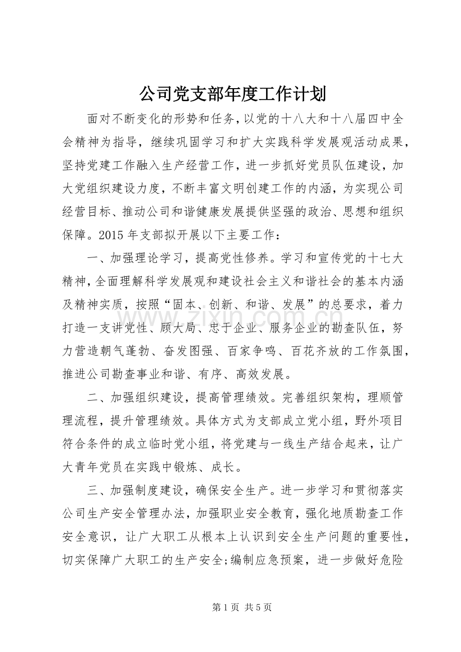 公司党支部年度工作计划.docx_第1页