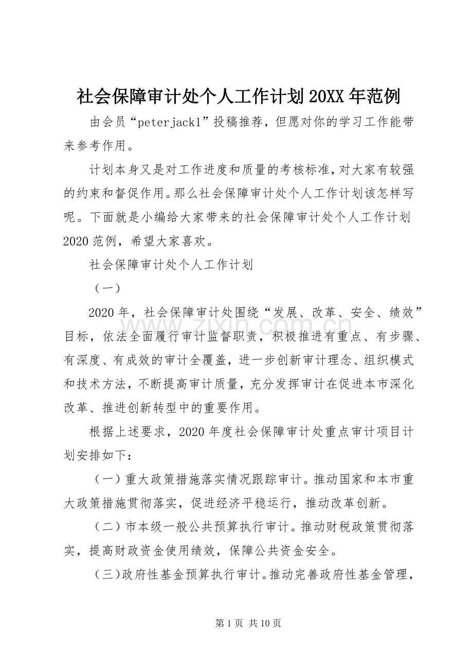 社会保障审计处个人工作计划20XX年范例.docx_第1页