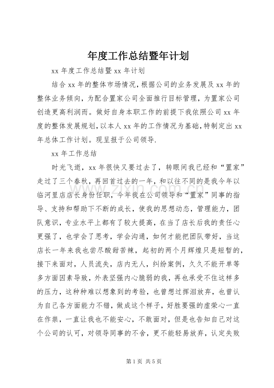 年度工作总结暨年计划.docx_第1页