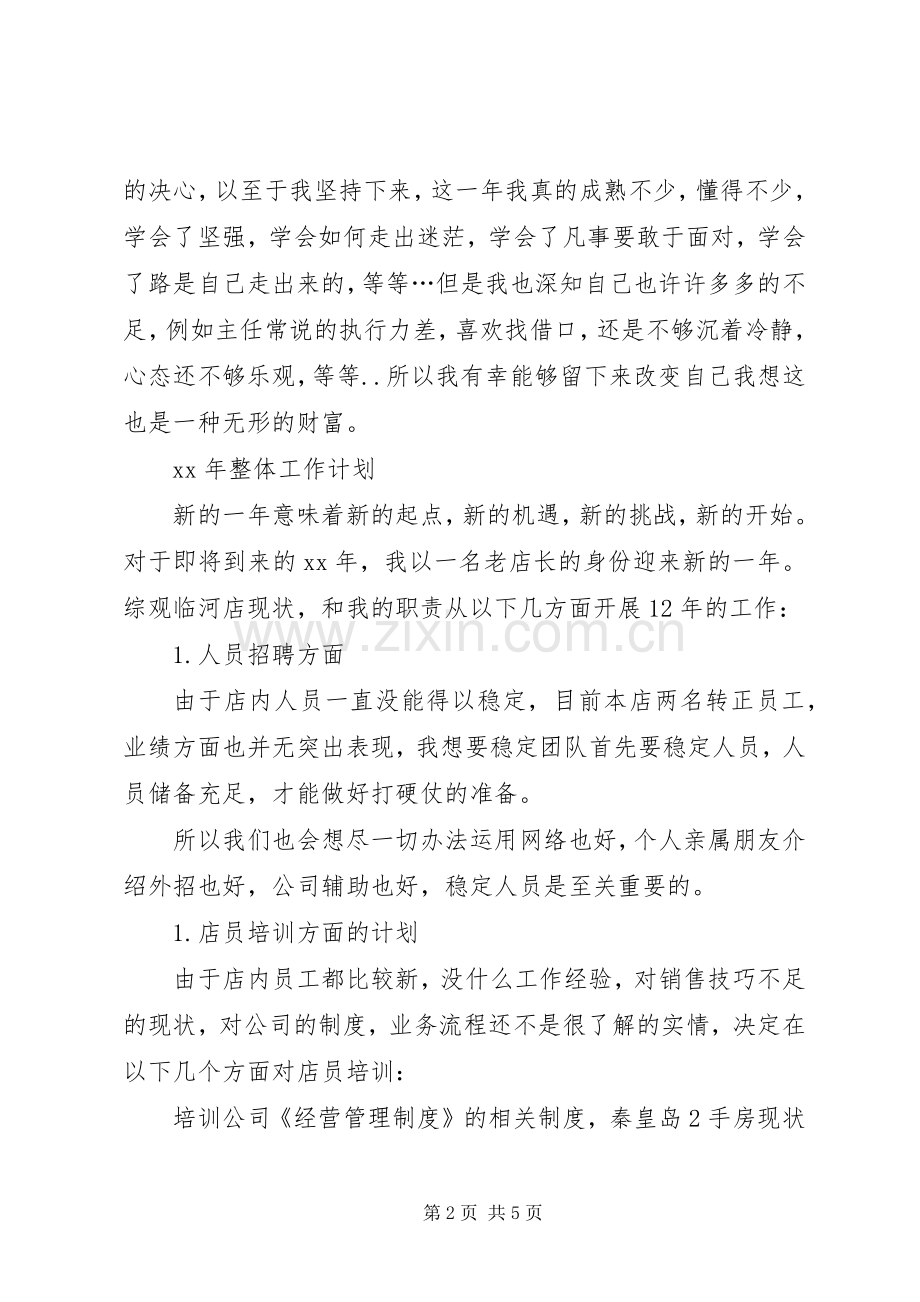 年度工作总结暨年计划.docx_第2页
