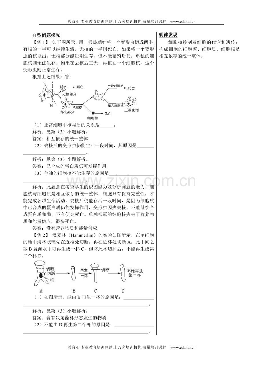 人教新课标高中生物必修一知识点例题剖析（细胞核——系统的控制中心）.doc_第1页