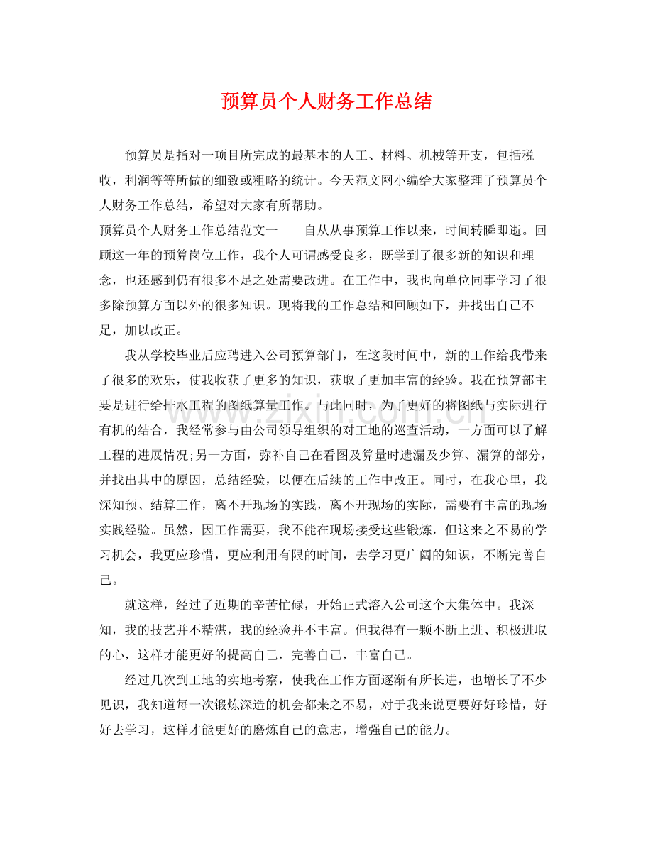 预算员个人财务工作总结 .docx_第1页