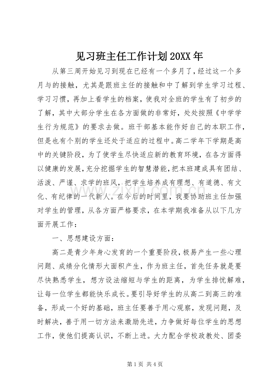 见习班主任工作计划20XX年.docx_第1页