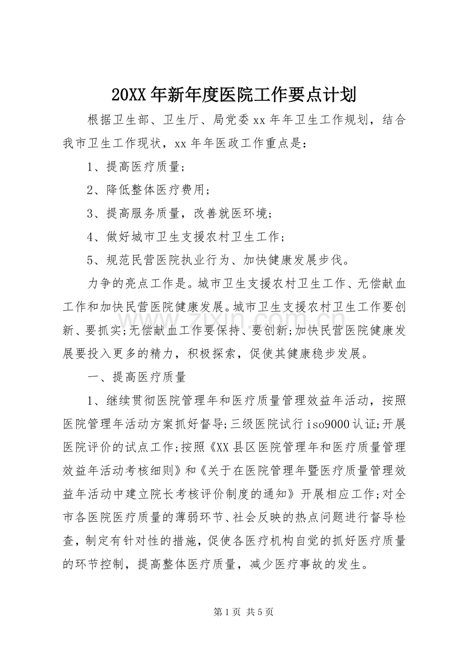 20XX年新年度医院工作要点计划.docx_第1页