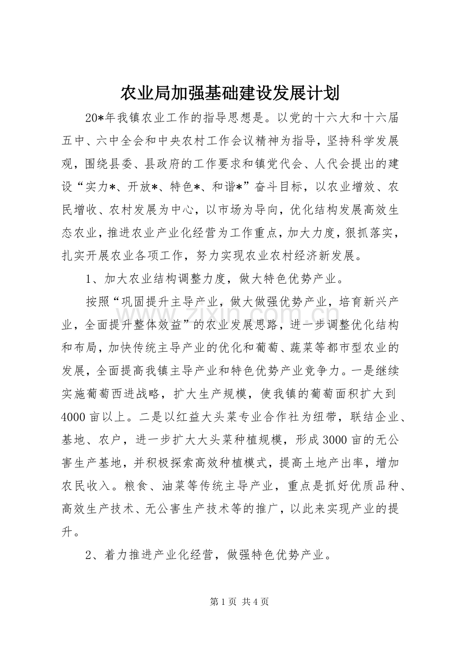 农业局加强基础建设发展计划.docx_第1页