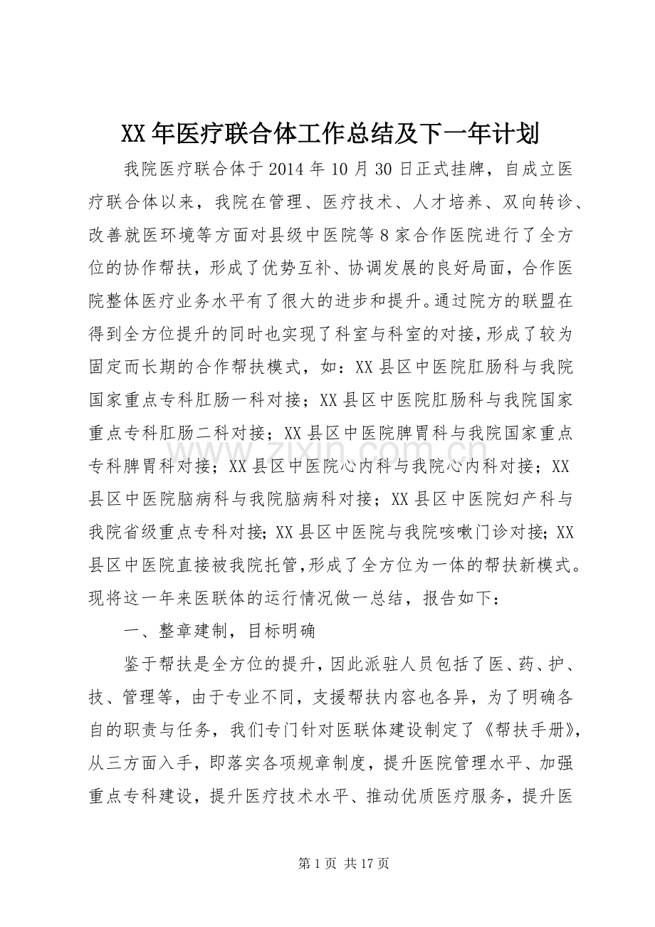 XX年医疗联合体工作总结及下一年计划.docx_第1页