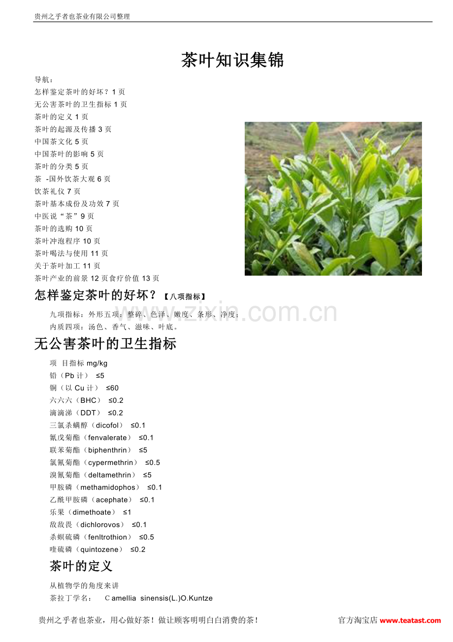 茶叶知识集锦.doc_第1页