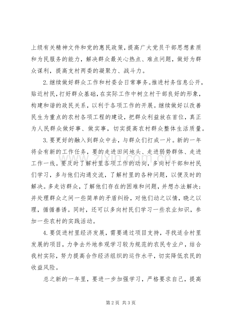 XX年村委会工作计划-村级XX年工作计划.docx_第2页