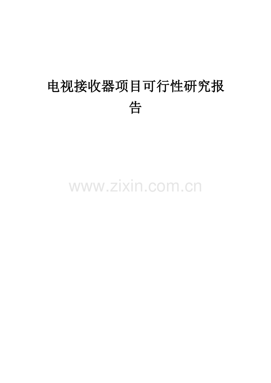 电视接收器项目可行性研究报告.docx_第1页