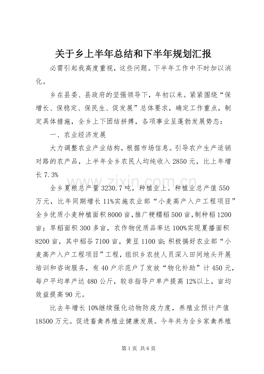 关于乡上半年总结和下半年规划汇报.docx_第1页