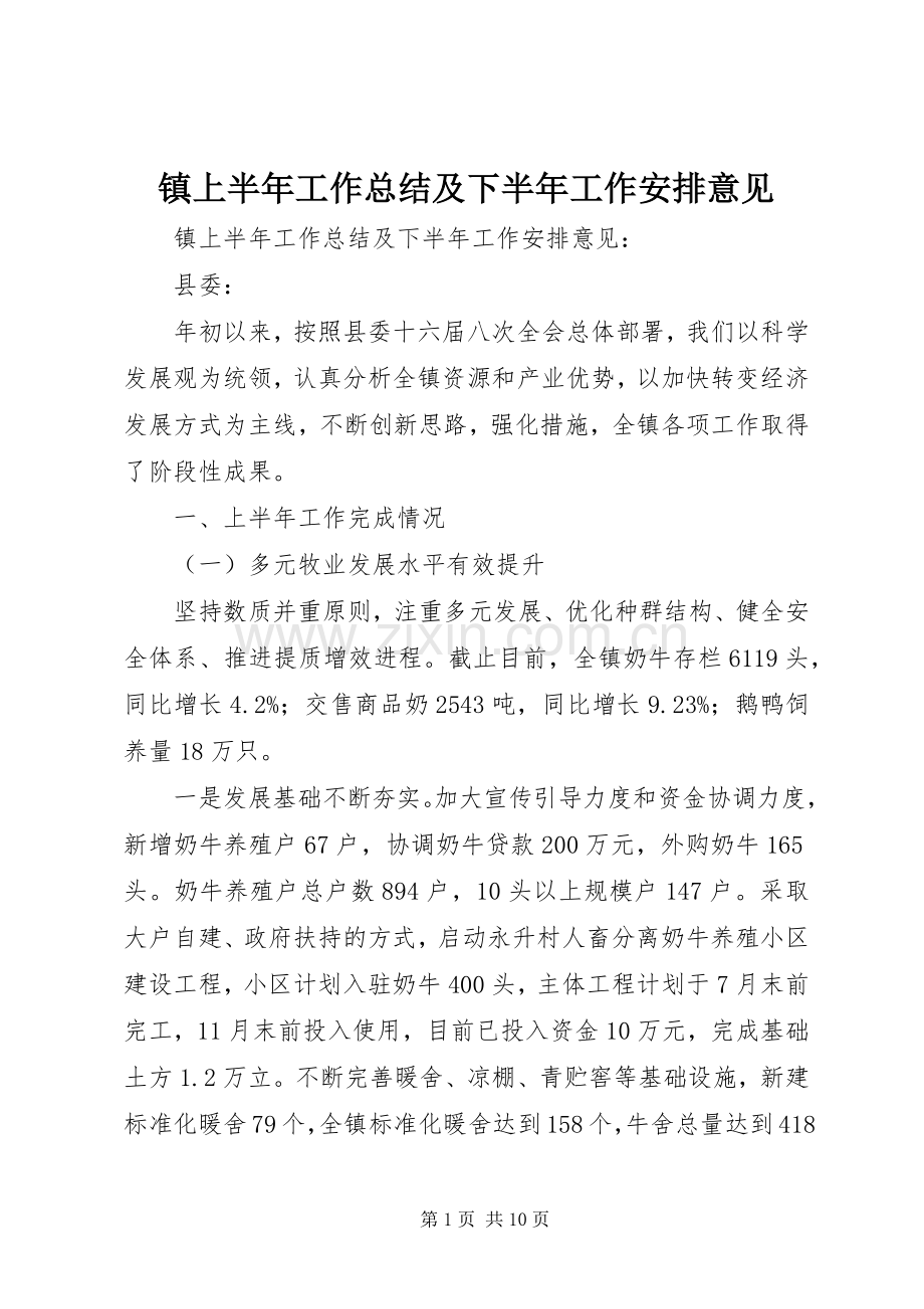 镇上半年工作总结及下半年工作安排意见.docx_第1页