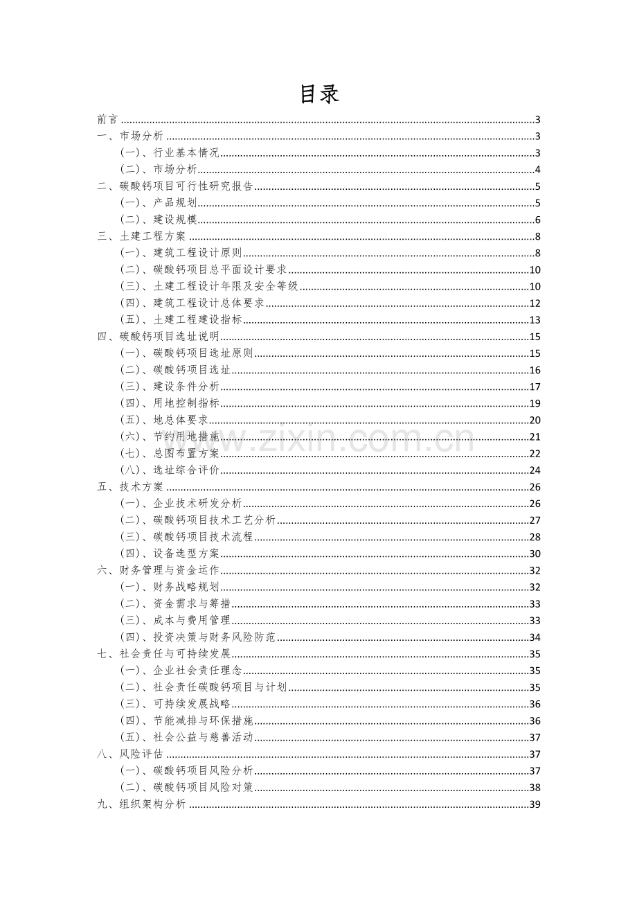 碳酸钙项目创业计划书.docx_第2页