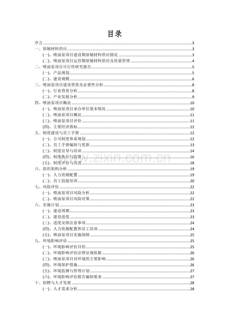 喷油泵项目可行性分析报告.docx_第2页