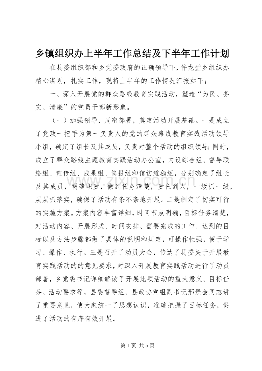 乡镇组织办上半年工作总结及下半年工作计划.docx_第1页