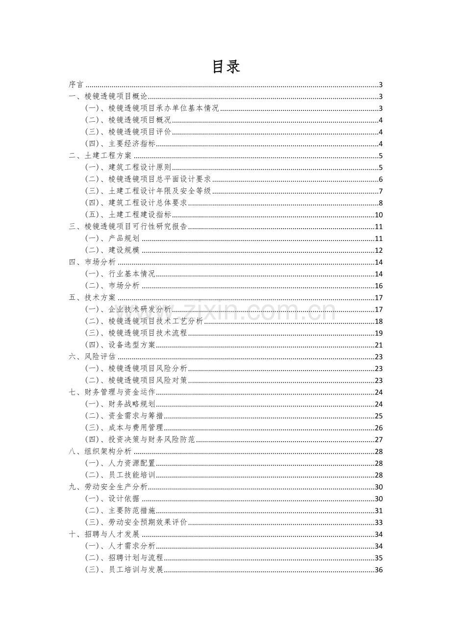 棱镜透镜项目深度研究分析报告.docx_第2页
