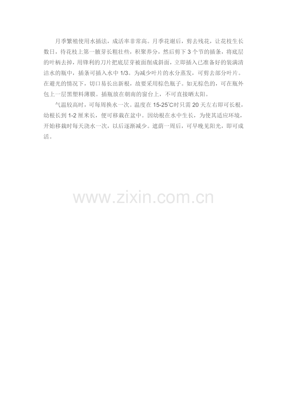 月季繁殖使用水插法.doc_第1页