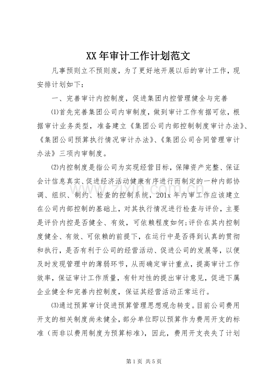 XX年审计工作计划范文 .docx_第1页
